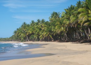 Playa Limon Beach