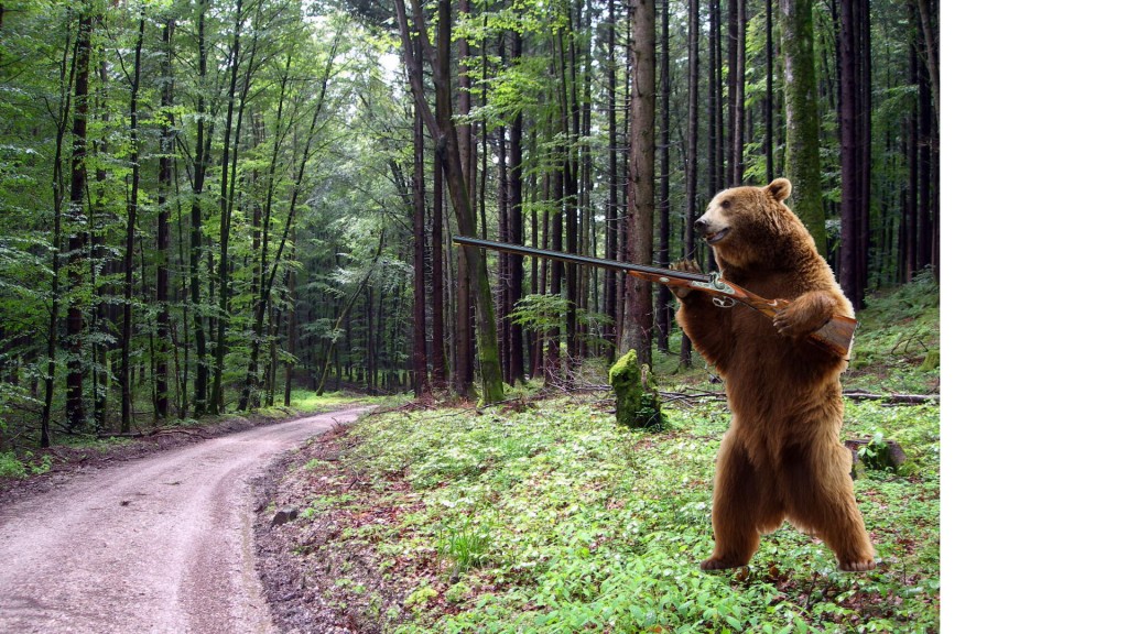 Watch out for the Killer Bear!